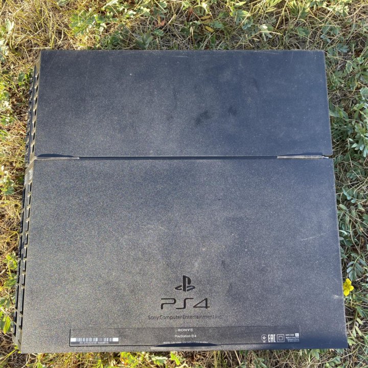 Ps 4 fat