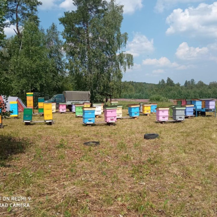 Мёд с личной пасеки.