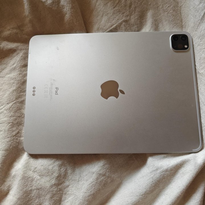 Ipad pro 11 m1 2021 256gb