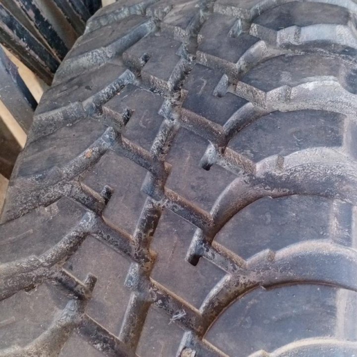 Контур экспедишен