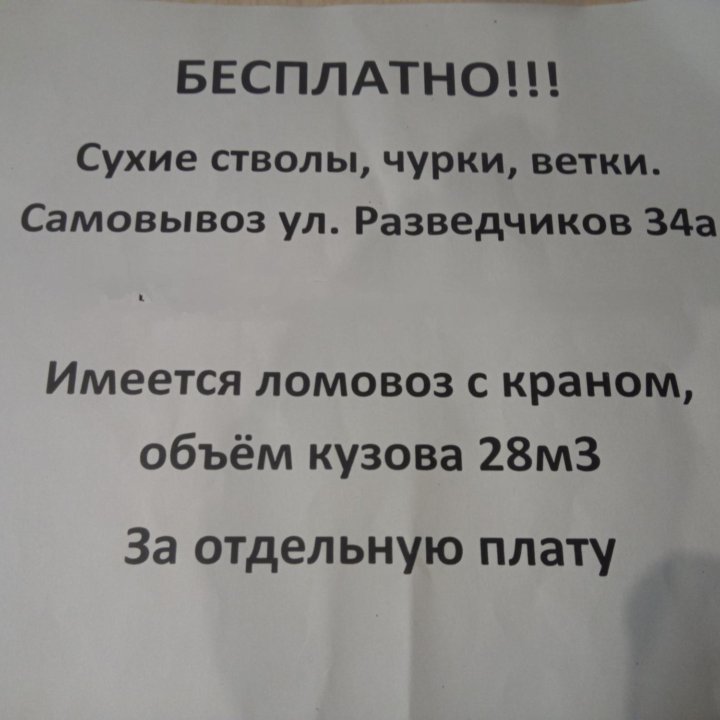 Бесплатно