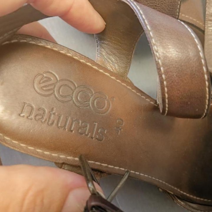Сабо Ecco размер 40 оригинал