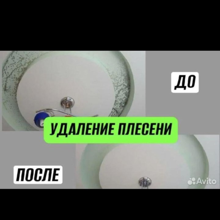 Уничтожение насекомых