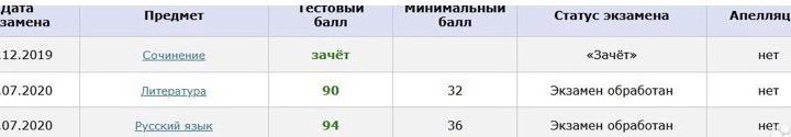 Репетитор по литературе. Подготовка к ЕГЭ