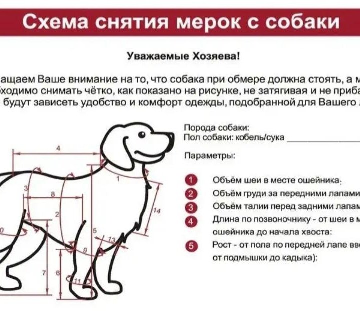 Комбинезон на Миттельшнауцера, суку, новый