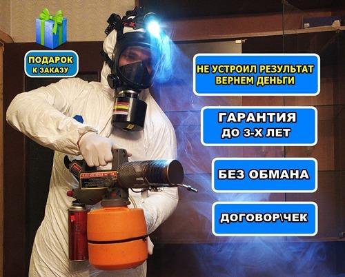 ☢️Дезинфекция. Уничтожение тараканов клопов