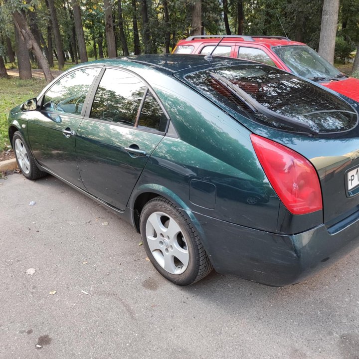 Nissan Primera, 2005