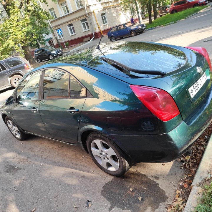 Nissan Primera, 2005