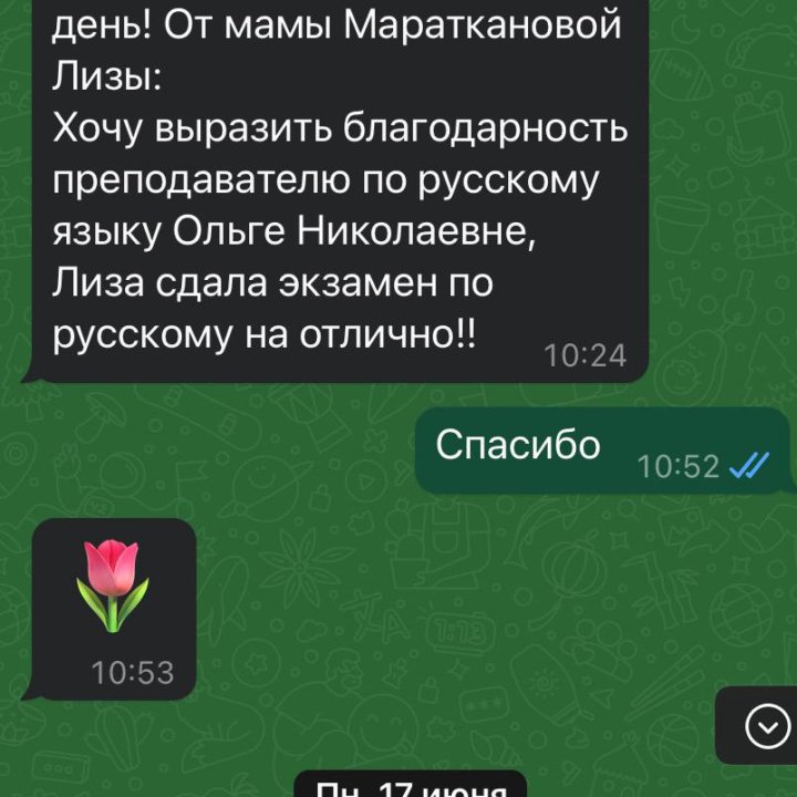 Репетитор по русскому языку. Подготовка к ОГЭ, ЕГЭ