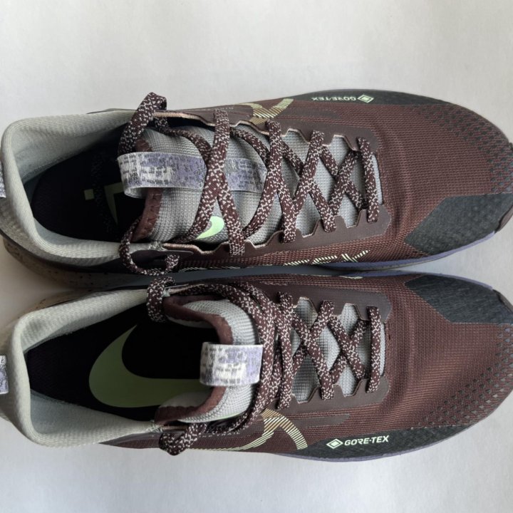 Nike Pegasus Trail GORE TEX