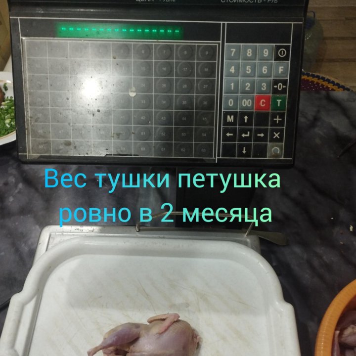 Перепелки