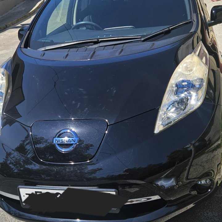 Nissan Leaf, 2013