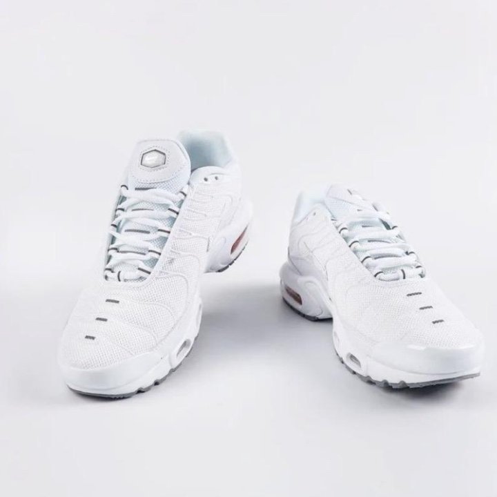 Кроссовки Nike Air Max Plus