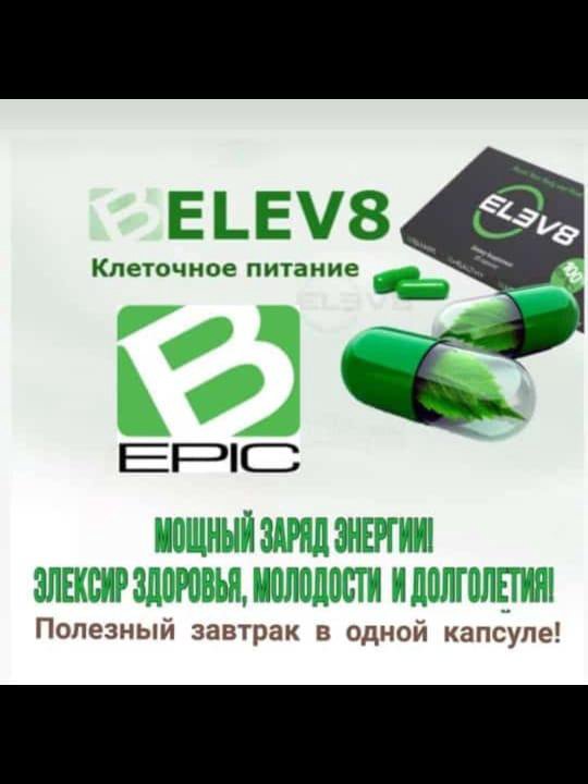 ELEV 8