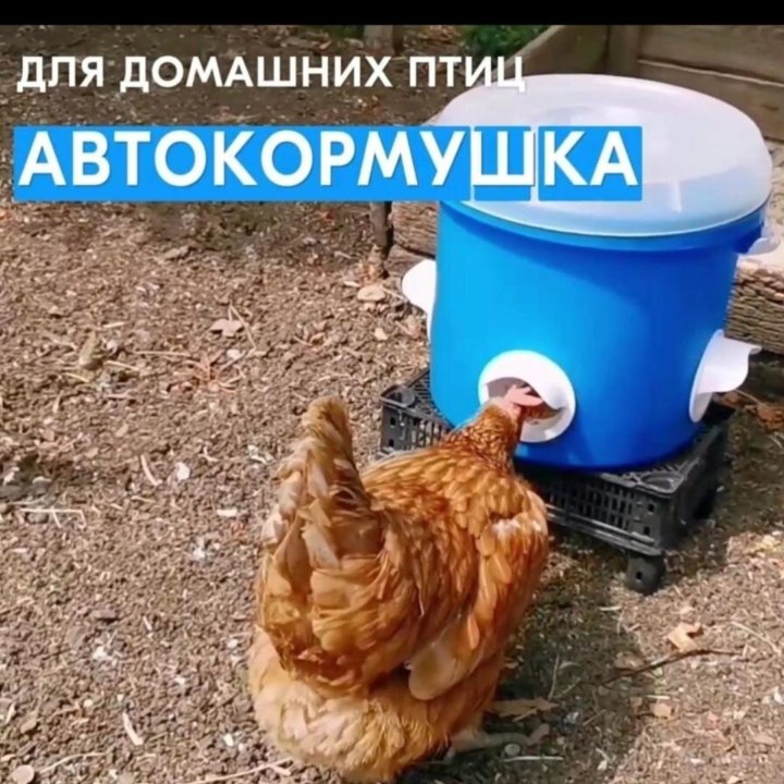 Автоматическая кормушка для кур