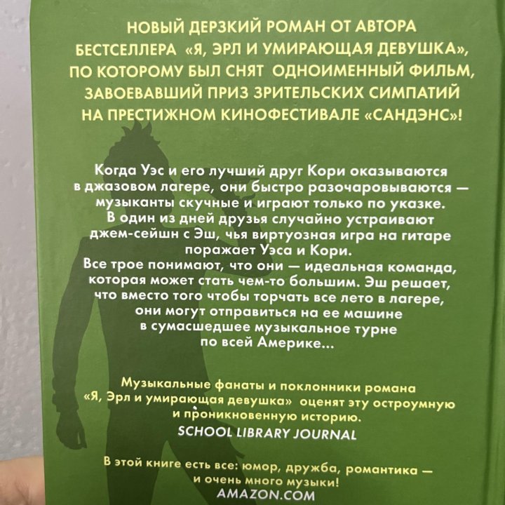 Книга Джесси Эндрюс «Хейтеры»