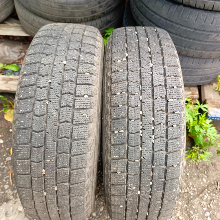 185/70 R14 Maxxis SP3 Premitra Ice