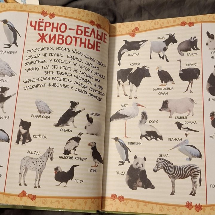 Детские книги от 2ух лет