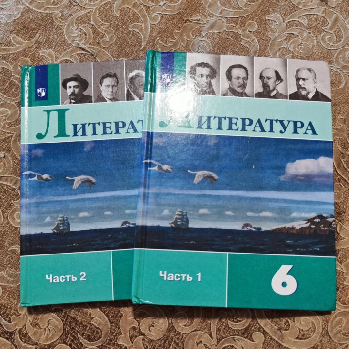 Литература учебник 6 класс, в двух частях.