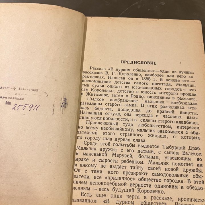 Книга В.Г.Короленко, В дурном обществе