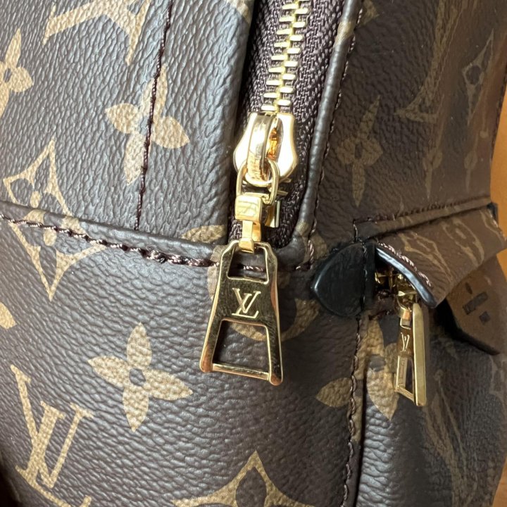 Рюкзак Louis Vuitton Palm Springs Mini