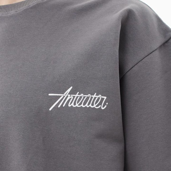 футболка Anteater Phat Tee