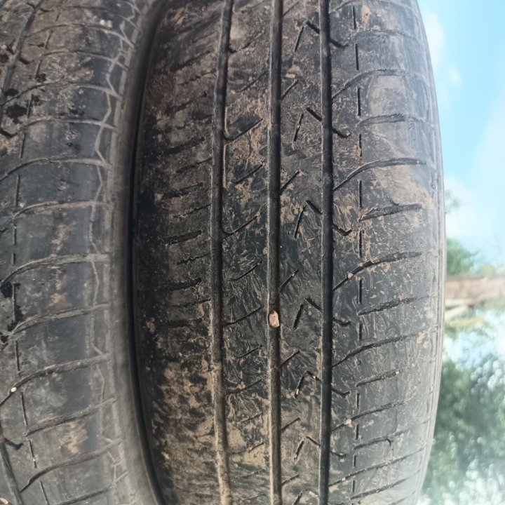 Toyo Tranpath mpZ, 175/65/14 поштучно