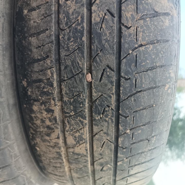 Toyo Tranpath mpZ, 175/65/14 поштучно