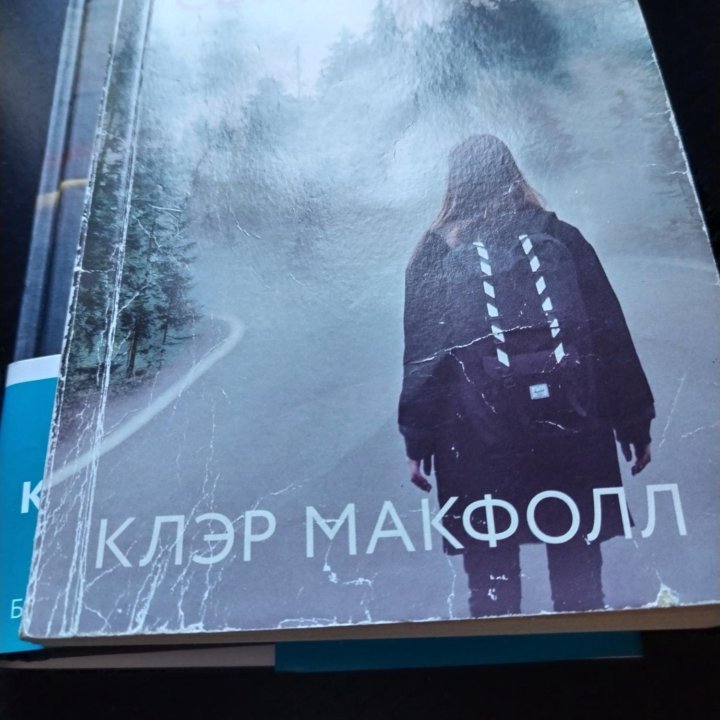 Книги беглянка и последний свидетель