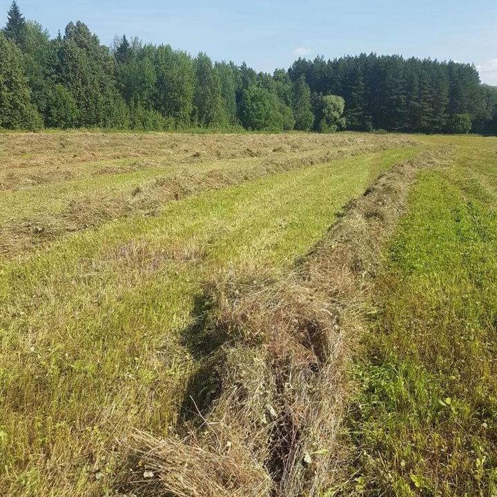 Сено-солома в брикетах для животных,декора