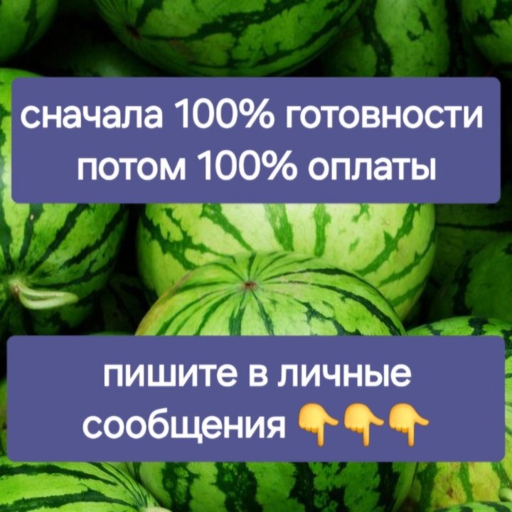 Создание сайтов под ключ