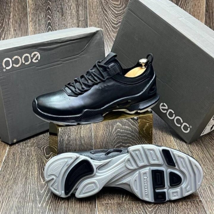 Кроссовки Ecco Biom