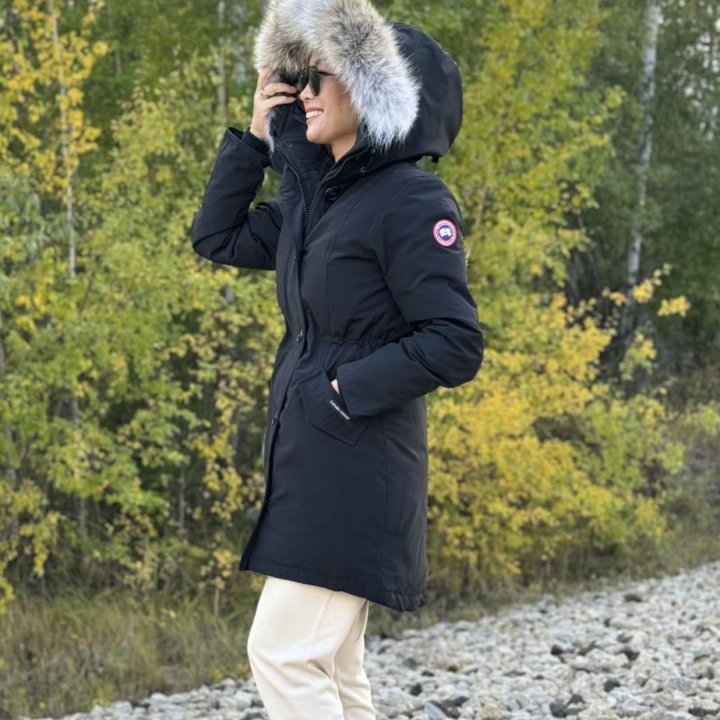 Canada Goose