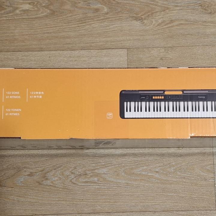 Casiotone ct-s100