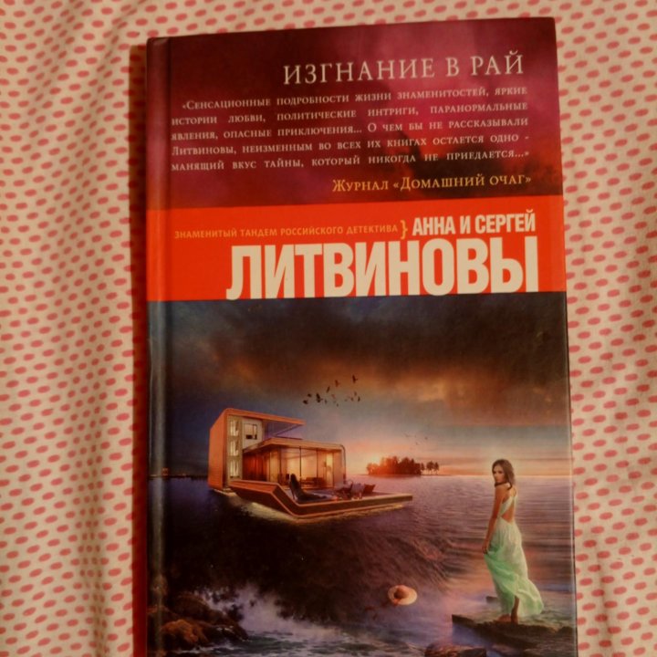 Книга детектив Литвиновы