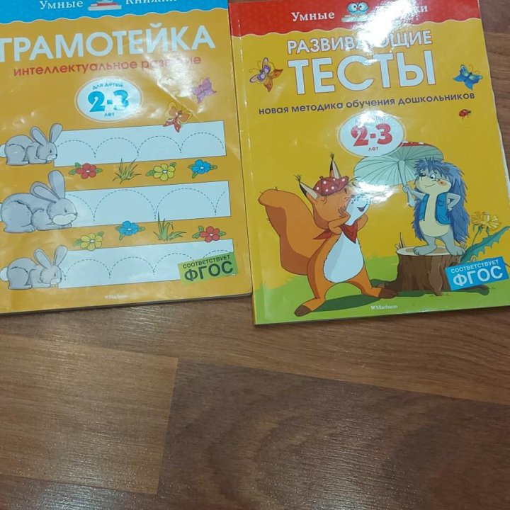 Грамотейка