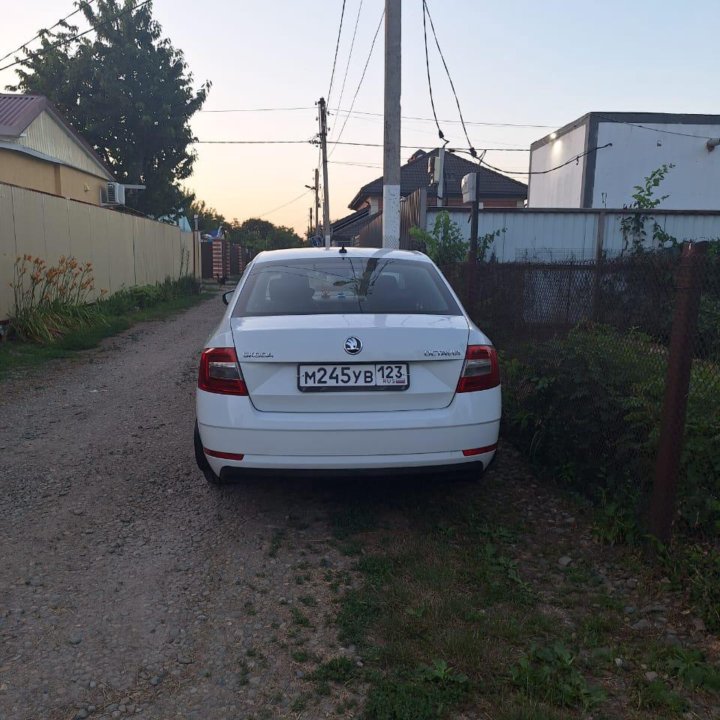 Skoda Octavia, 2018