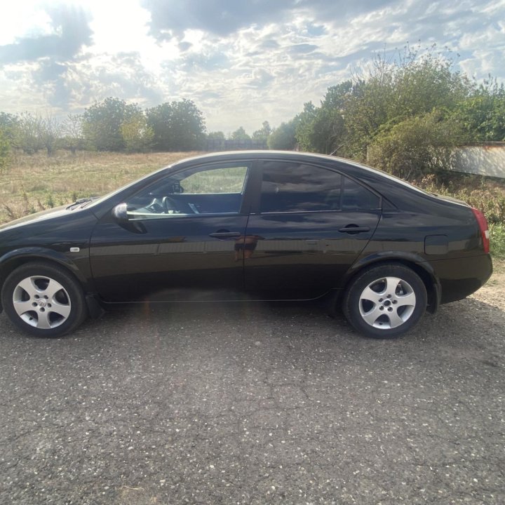 Nissan Primera, 2004