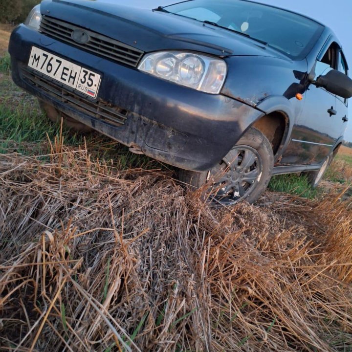 ВАЗ (Lada) Kalina, 2009