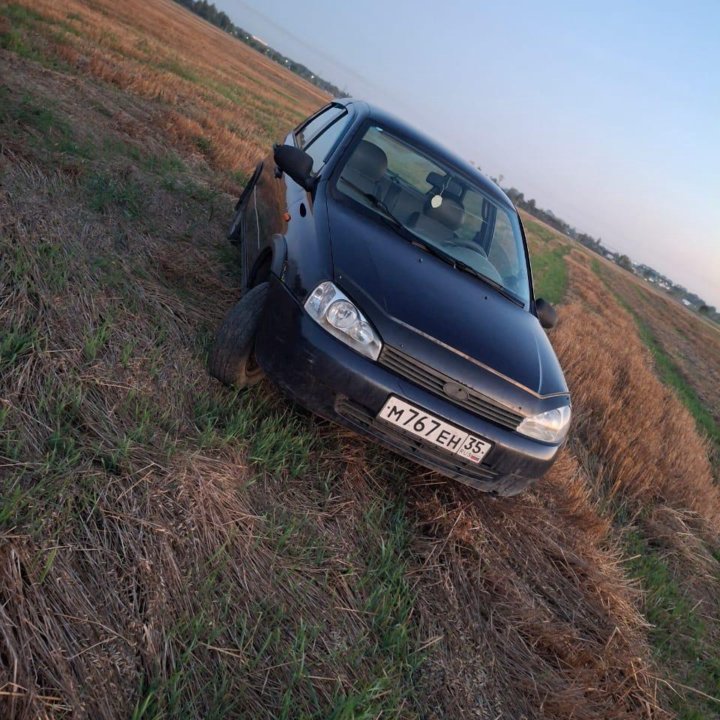 ВАЗ (Lada) Kalina, 2009