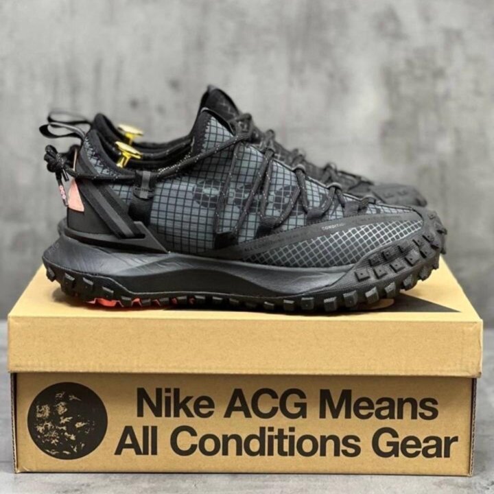 Кроссовки Nike Acg Mountain Fly