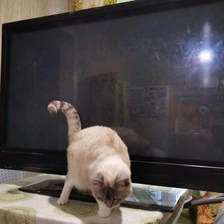 Телевизор Philips 42PFP5332 плазма 42 дюйма