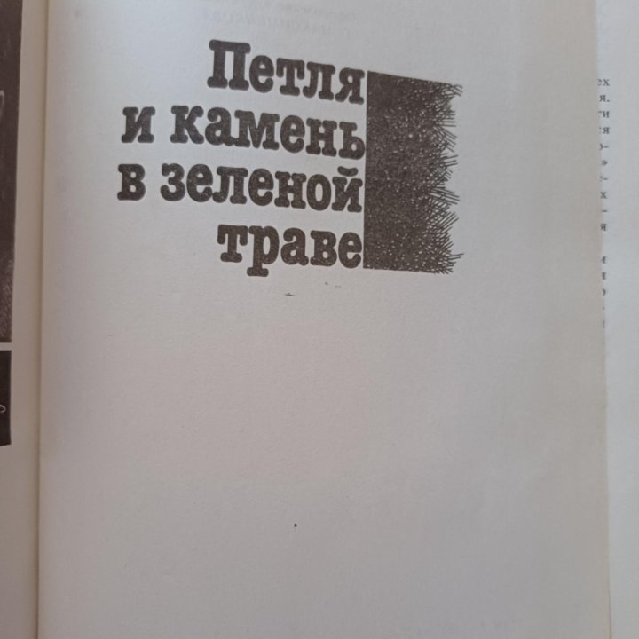 Братья Вайнеры Петля и камень в зеленой траве