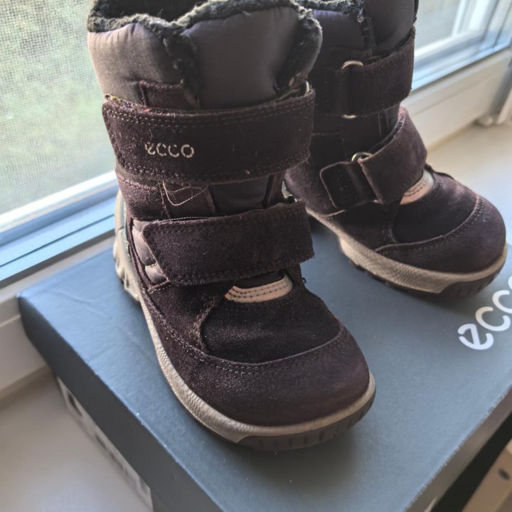 Полусапоги зимние ECCO BIOM HIKE INFANT 24 р-р