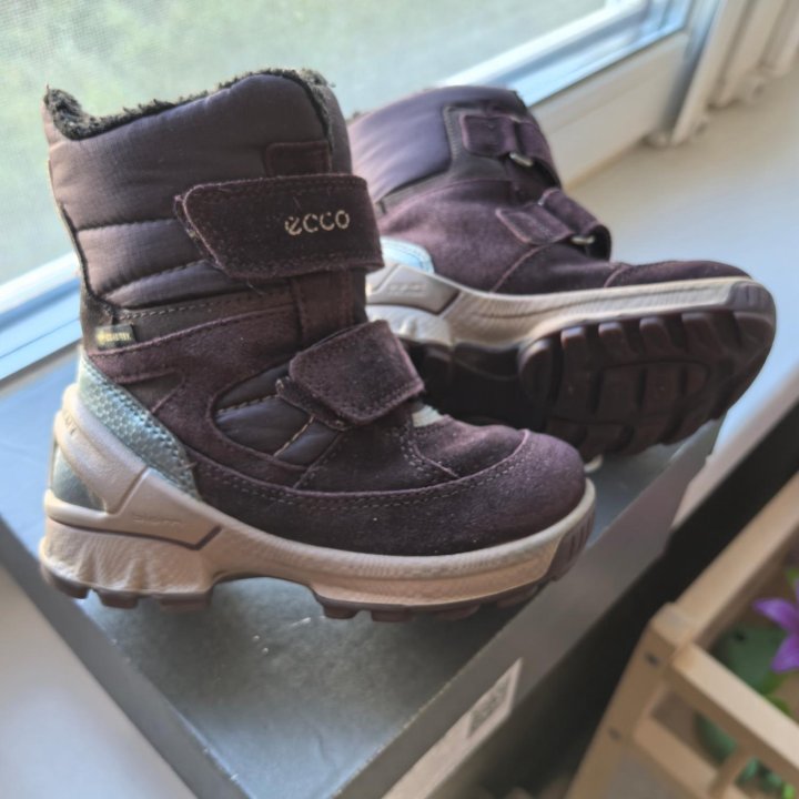 Полусапоги зимние ECCO BIOM HIKE INFANT 24 р-р