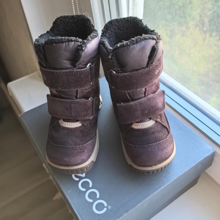 Полусапоги зимние ECCO BIOM HIKE INFANT 24 р-р