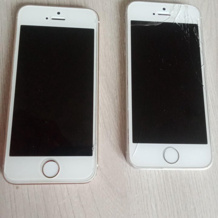 Iphone 5s и iphone 5se