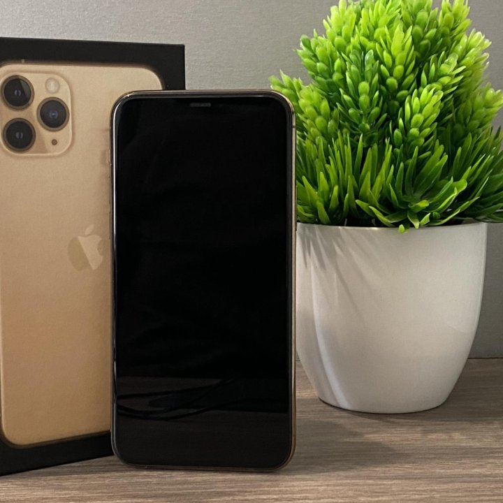 iPhone 11 pro