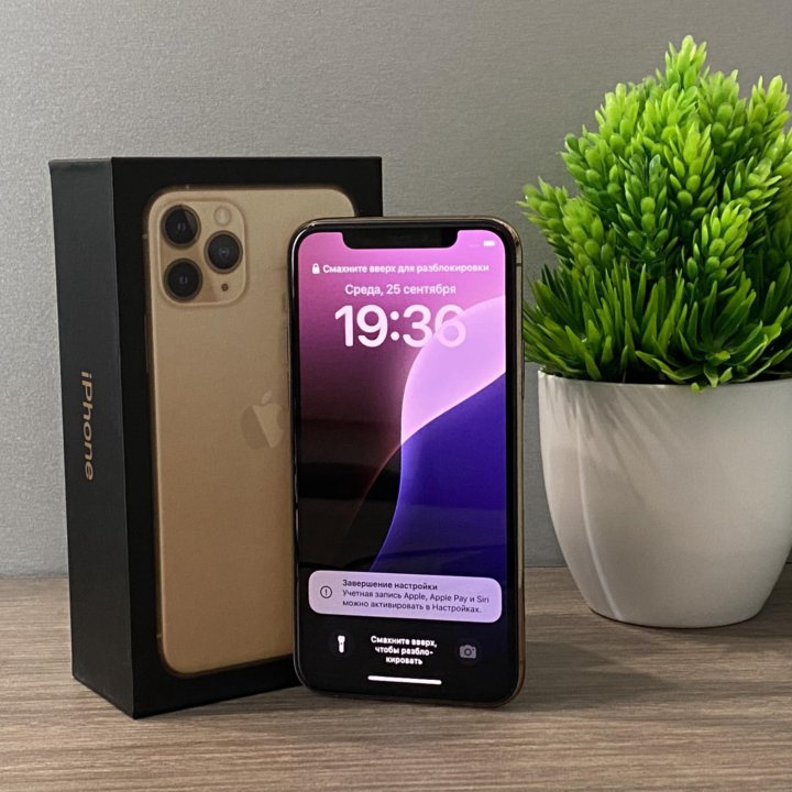 iPhone 11 pro