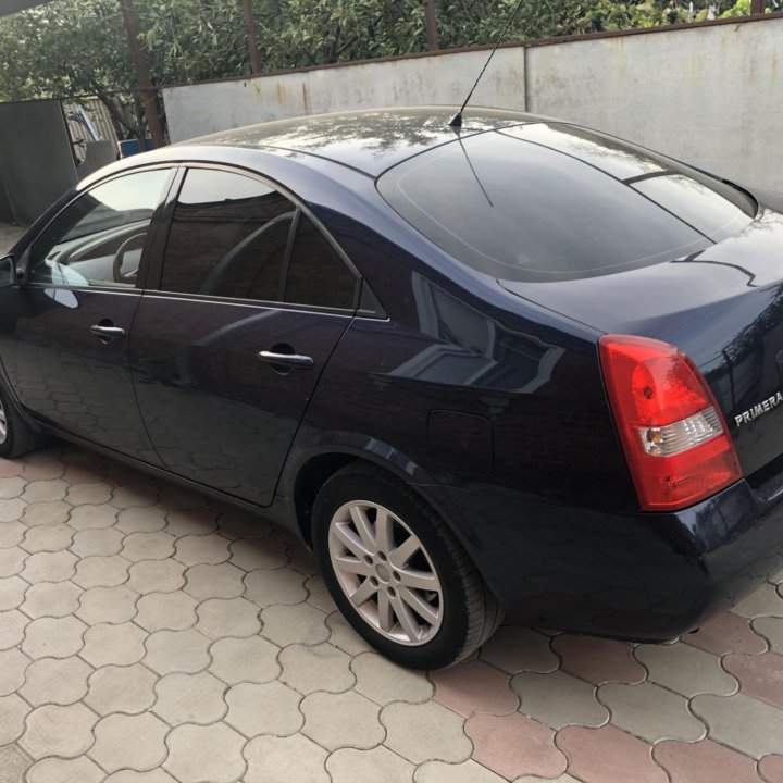 Nissan Primera, 2003